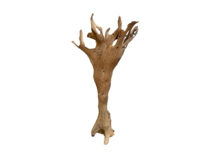 HSM Collection-Statue Teak-2150/240x70/110x50/60-Naturel-Teak