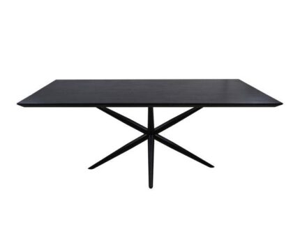 HSM Collection-Rechthoekige Eettafel Zürich-220x100x76-Zwart-Mango/Metaal