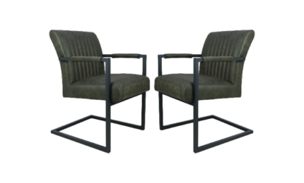 HSM Collection-Eetkamerstoel Texas Met Arm S/2-55x50x85-Groen/Grijs-Leder/Metaal