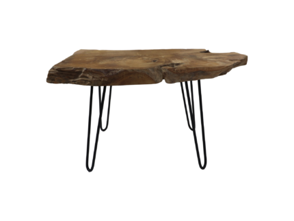 HSM Collection-Rechthoekige Salontafel Root-90x55x42-Bruin/Zwart-Teak/Metaal